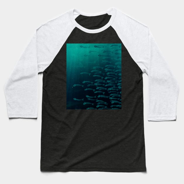 Anatomy Of A Fish - The Whole School Underwater Baseball T-Shirt by CentipedeWorks